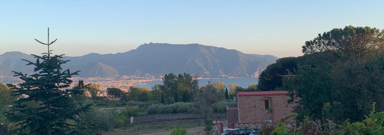 Villa Vesuvio Trecase Екстериор снимка