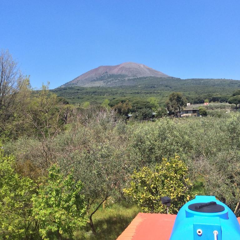 Villa Vesuvio Trecase Екстериор снимка